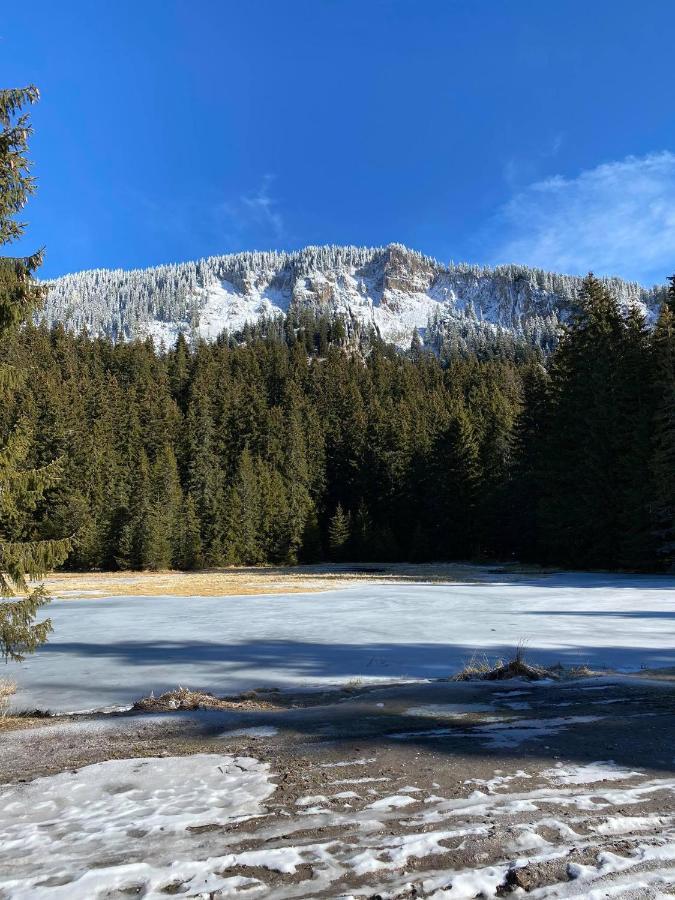 Апартамент В Mountainlake Aparthotel Σμόλιαν Εξωτερικό φωτογραφία